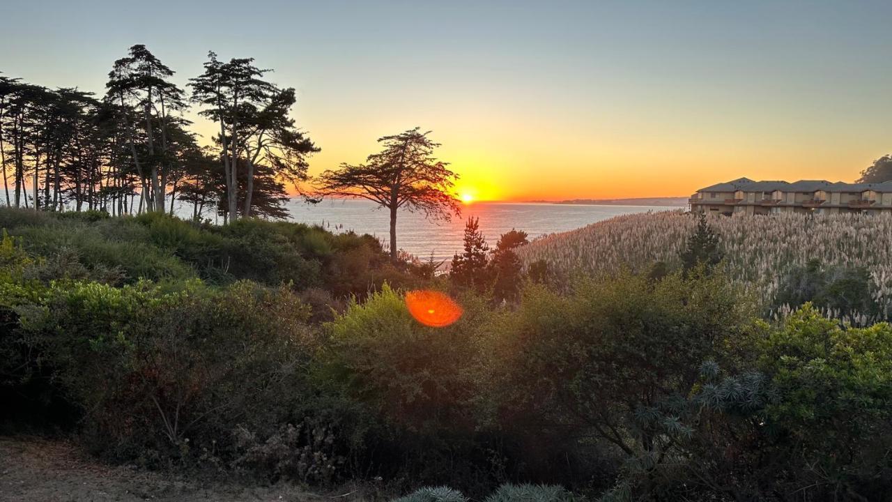 Spectacular Ocean View - 3 Heated Pools - Seascape Lejlighedshotel Aptos Eksteriør billede